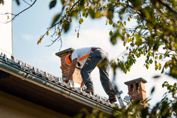Best Roof Gutter Cleaning  in Nicollet, MN