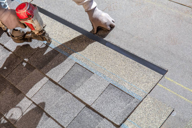 Best Roof Maintenance Services  in Nicollet, MN