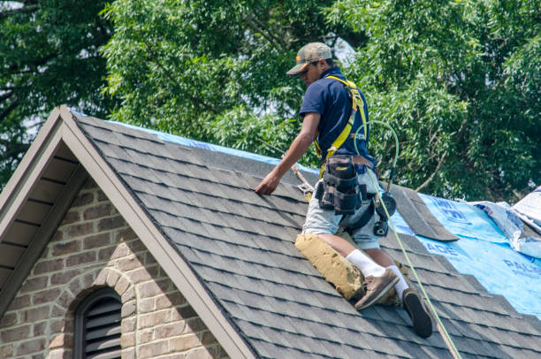 Best New Roof Installation  in Nicollet, MN